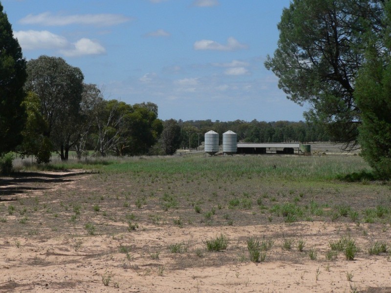 84L Mogriguy Road, Dubbo NSW 2830