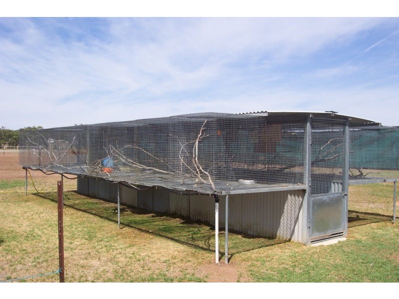 94 Lawnside Dr, Mendooran NSW 2842