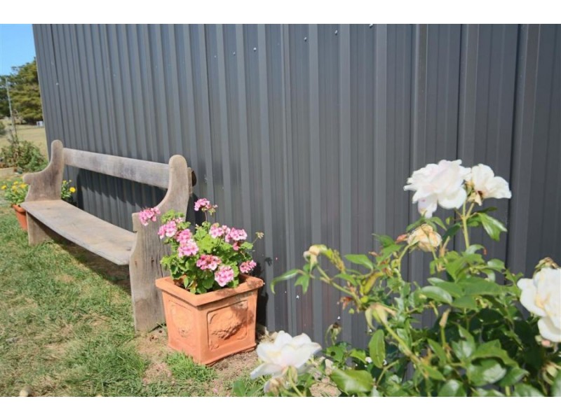 Lot 5 Bellevue Road, Tenterfield NSW 2372