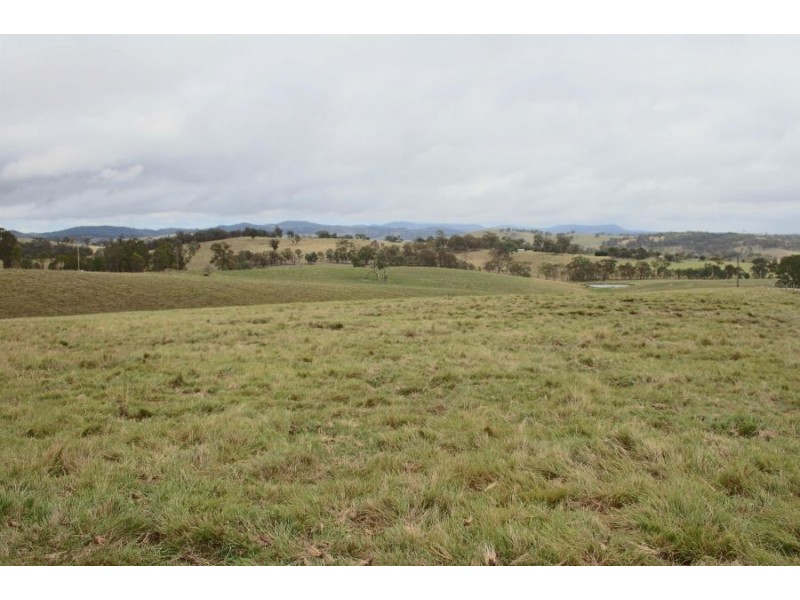 Lots 92 & 109 Timbarra Road, Tenterfield NSW 2372