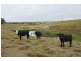 Lots 92 & 109 Timbarra Road, Tenterfield NSW 2372