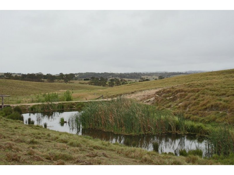 Lots 92 & 109 Timbarra Road, Tenterfield NSW 2372