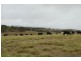 Lots 92 & 109 Timbarra Road, Tenterfield NSW 2372
