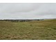Lots 92 & 109 Timbarra Road, Tenterfield NSW 2372