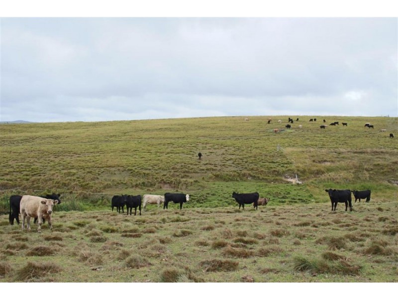 Lots 92 & 109 Timbarra Road, Tenterfield NSW 2372