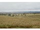 Lots 92 & 109 Timbarra Road, Tenterfield NSW 2372