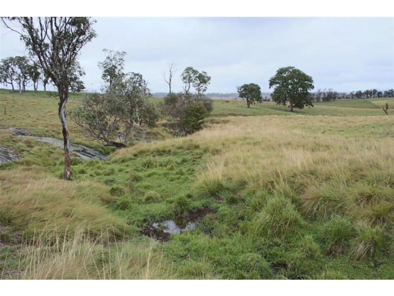 Lots 92 & 109 Timbarra Road, Tenterfield NSW 2372