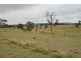Lots 92 & 109 Timbarra Road, Tenterfield NSW 2372