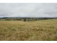 Lots 92 & 109 Timbarra Road, Tenterfield NSW 2372