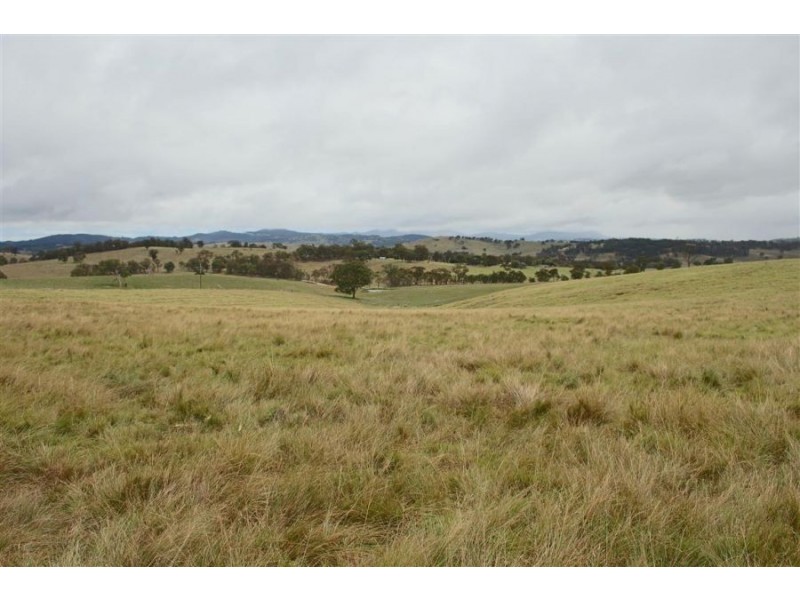 Lots 92 & 109 Timbarra Road, Tenterfield NSW 2372