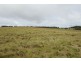 Lots 92 & 109 Timbarra Road, Tenterfield NSW 2372
