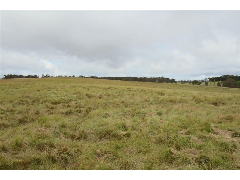 Lots 92 & 109 Timbarra Road, Tenterfield NSW 2372