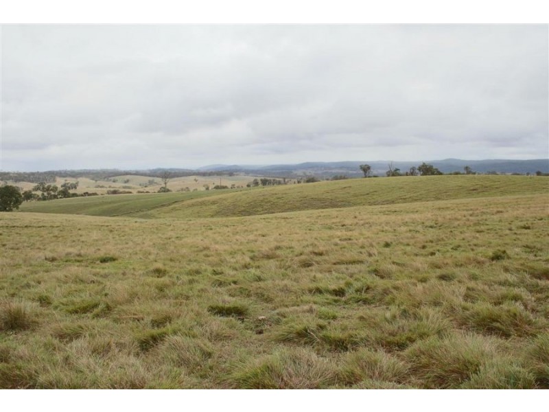 Lots 92 & 109 Timbarra Road, Tenterfield NSW 2372