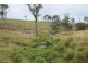 Lots 92 & 109 Timbarra Road, Tenterfield NSW 2372