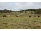 Lots 92 & 109 Timbarra Road, Tenterfield NSW 2372