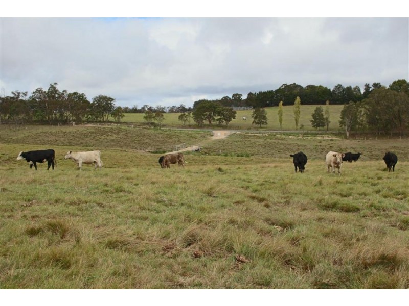 Lots 92 & 109 Timbarra Road, Tenterfield NSW 2372