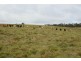 Lots 92 & 109 Timbarra Road, Tenterfield NSW 2372