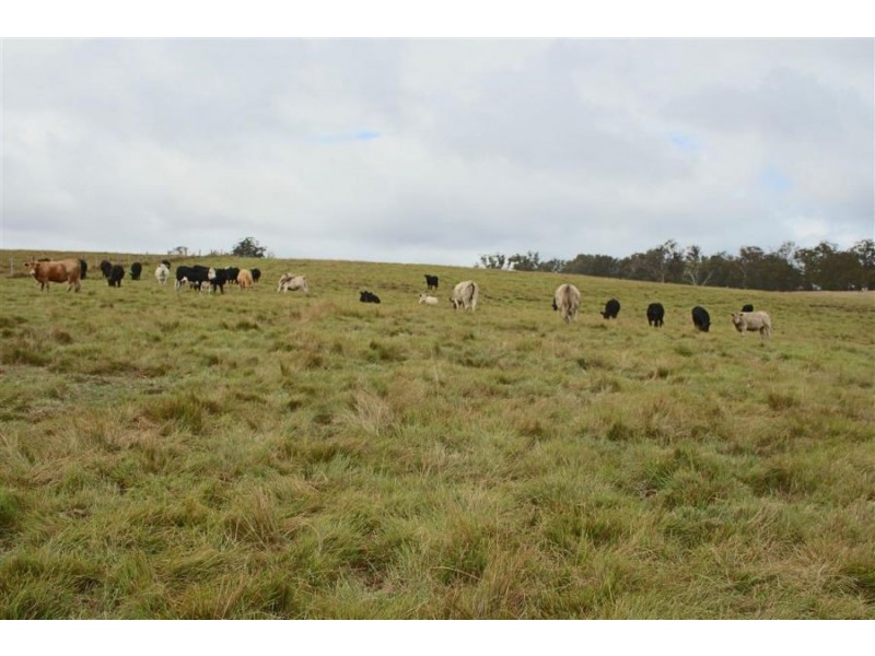 Lots 92 & 109 Timbarra Road, Tenterfield NSW 2372