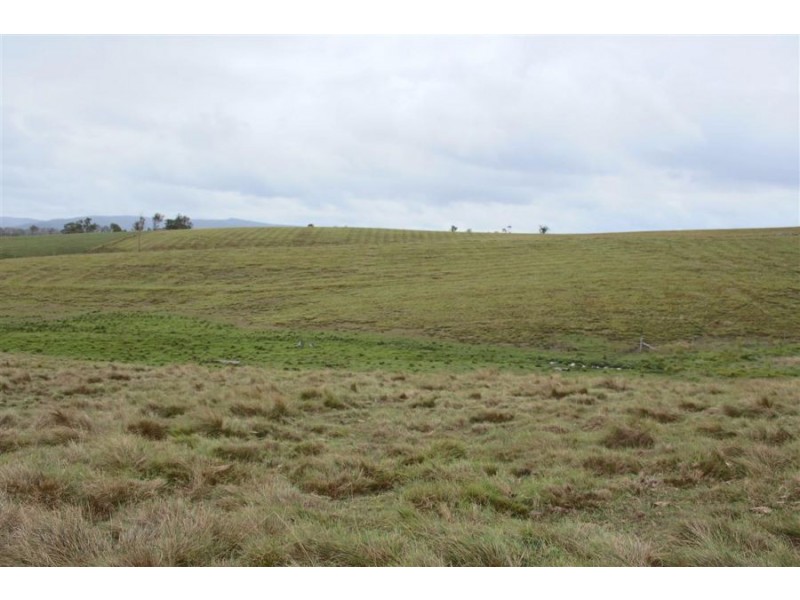 Lots 92 & 109 Timbarra Road, Tenterfield NSW 2372