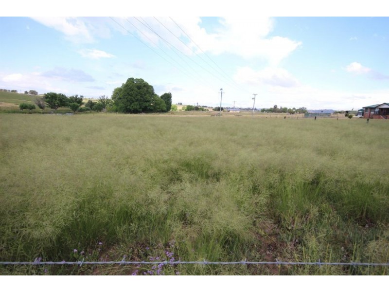 211-217 Wood Street, Tenterfield NSW 2372