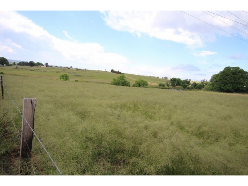 211-217 Wood Street, Tenterfield NSW 2372