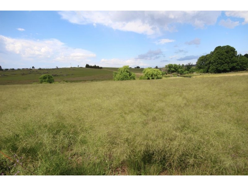 211-217 Wood Street, Tenterfield NSW 2372