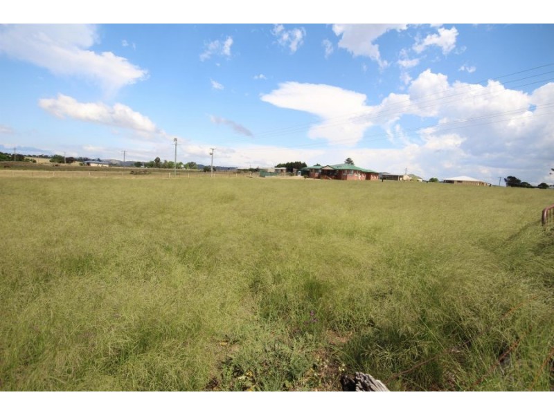 211-217 Wood Street, Tenterfield NSW 2372