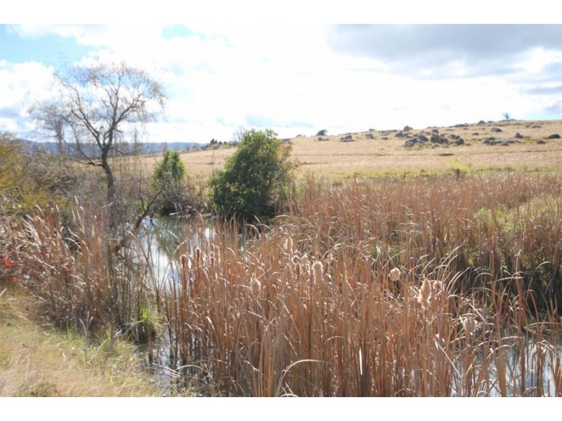 211-217 Wood Street, Tenterfield NSW 2372