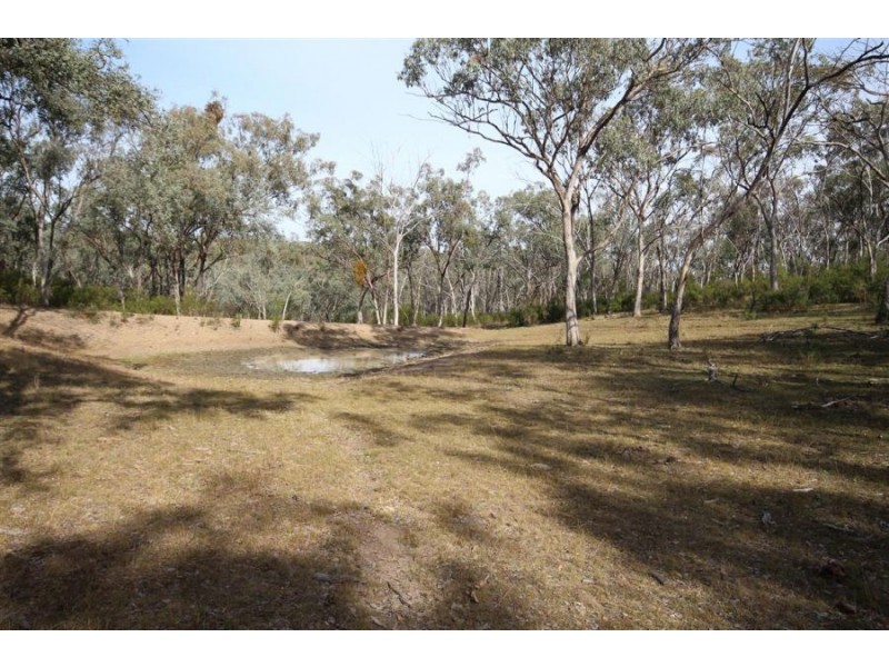 4296 Bruxner Highway, Tenterfield NSW 2372