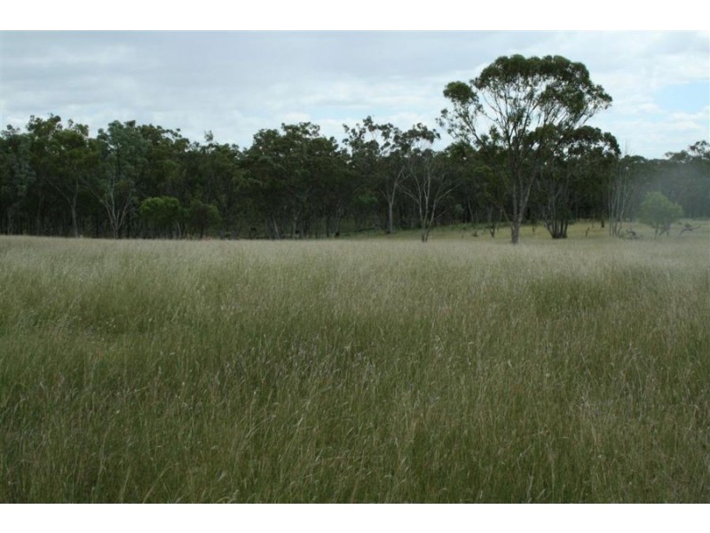 4296 Bruxner Highway, Tenterfield NSW 2372