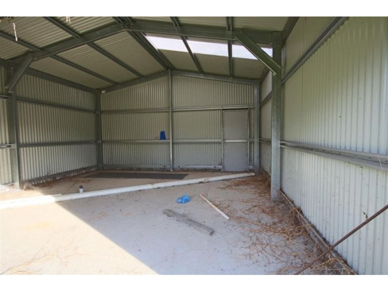 123 Douglas Street, Tenterfield NSW 2372