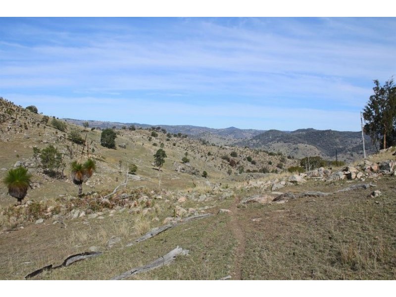 1759 Mount Mackenzie Road, Tenterfield NSW 2372