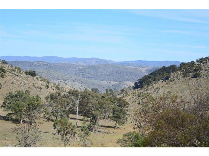 1759 Mount Mackenzie Road, Tenterfield NSW 2372