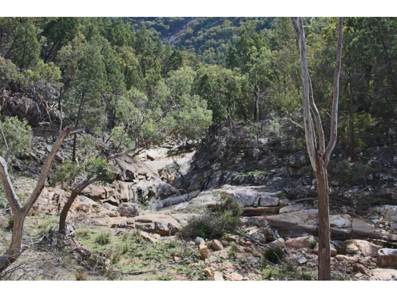 1759 Mount Mackenzie Road, Tenterfield NSW 2372