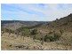 1759 Mount Mackenzie Road, Tenterfield NSW 2372