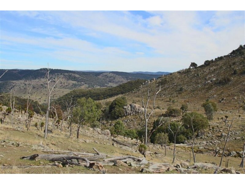 1759 Mount Mackenzie Road, Tenterfield NSW 2372