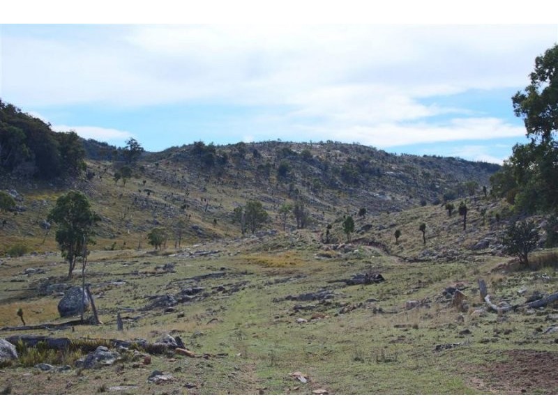 1759 Mount Mackenzie Road, Tenterfield NSW 2372