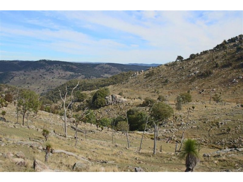 1759 Mount Mackenzie Road, Tenterfield NSW 2372