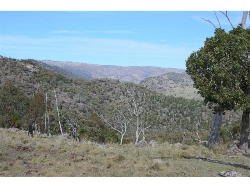1759 Mount Mackenzie Road, Tenterfield NSW 2372
