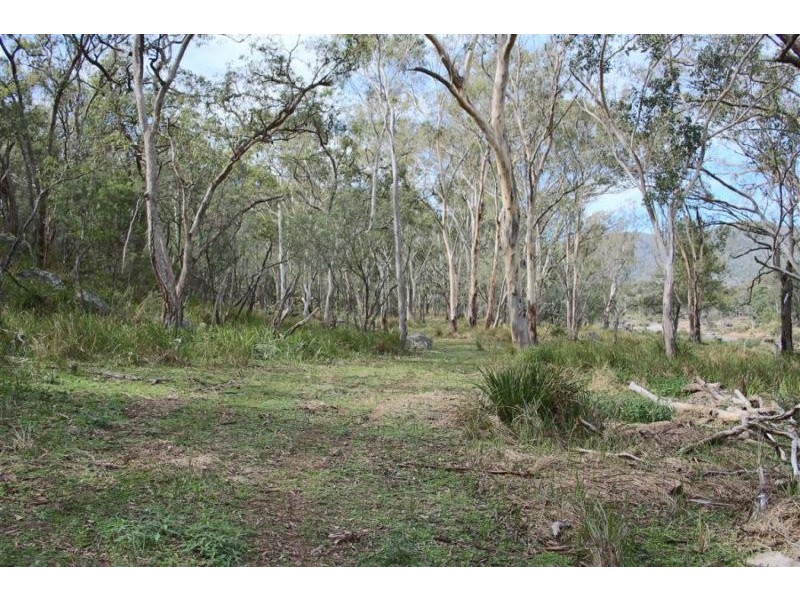 1759 Mount Mackenzie Road, Tenterfield NSW 2372