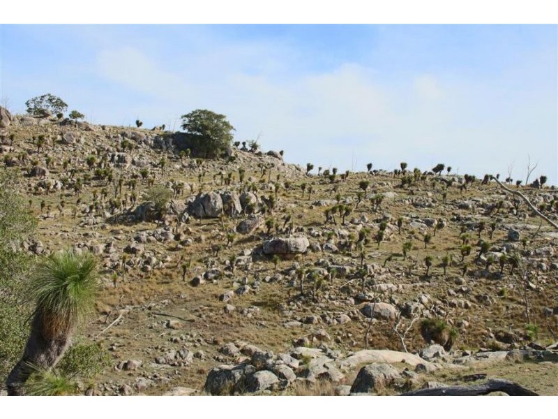 1759 Mount Mackenzie Road, Tenterfield NSW 2372