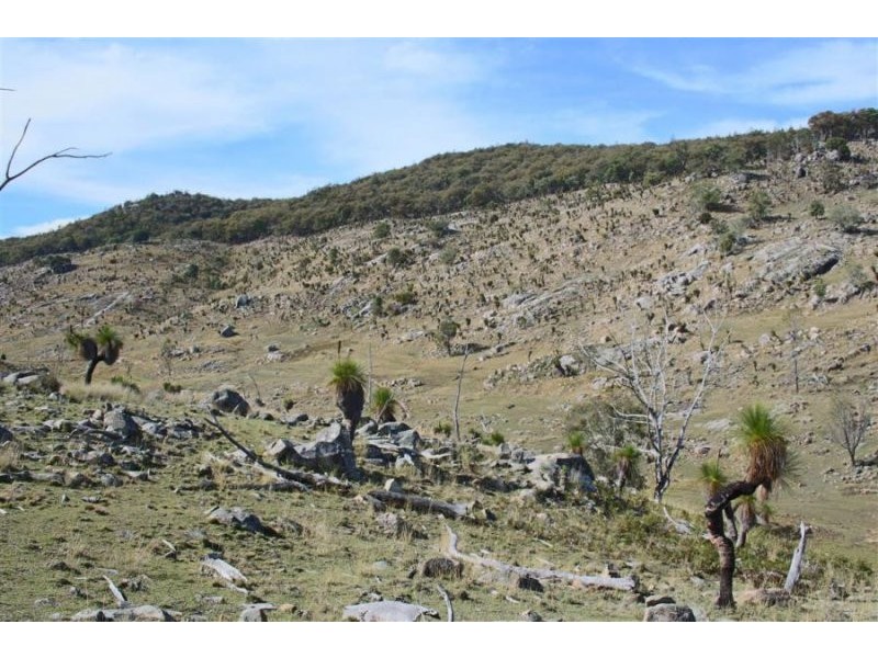 1759 Mount Mackenzie Road, Tenterfield NSW 2372