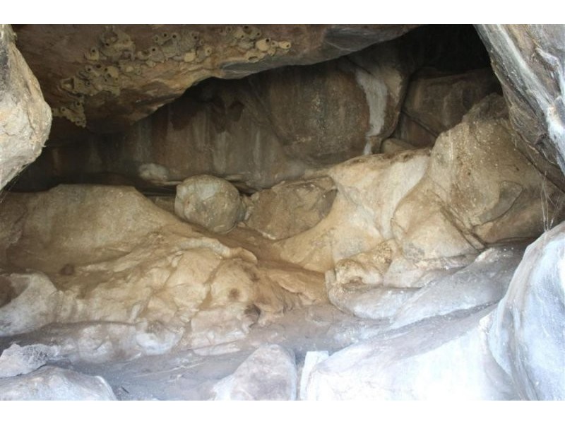 1759 Mount Mackenzie Road, Tenterfield NSW 2372