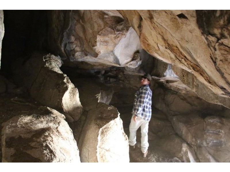 1759 Mount Mackenzie Road, Tenterfield NSW 2372