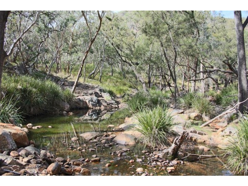 1759 Mount Mackenzie Road, Tenterfield NSW 2372