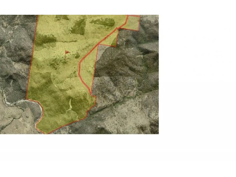 1759 Mount Mackenzie Road, Tenterfield NSW 2372