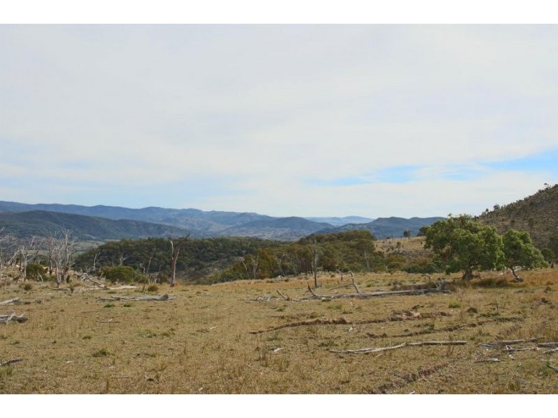 1759a Mount Mackenzie Road, Tenterfield NSW 2372