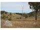 1759a Mount Mackenzie Road, Tenterfield NSW 2372