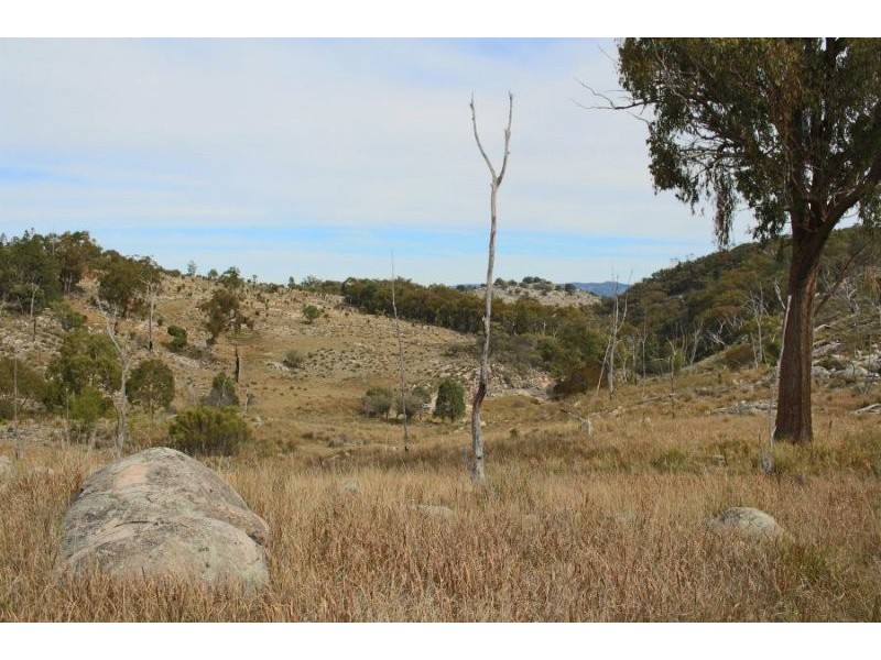 1759a Mount Mackenzie Road, Tenterfield NSW 2372