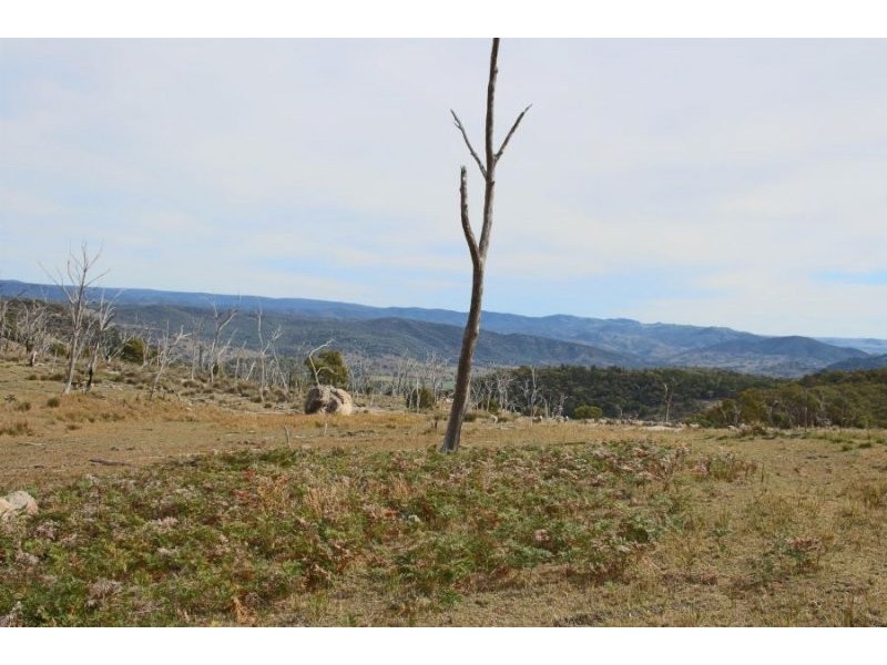 1759a Mount Mackenzie Road, Tenterfield NSW 2372